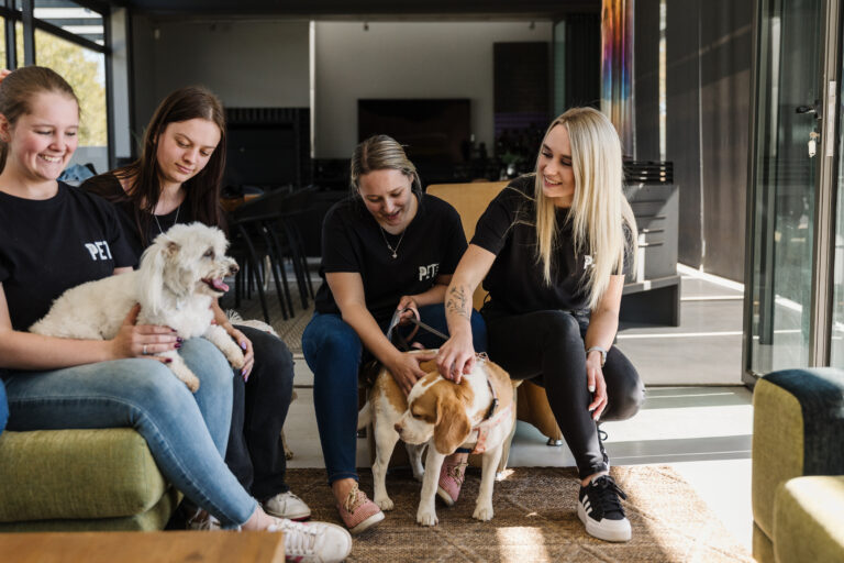 Read more about the article Pet Care Pretoria – we meet your need.