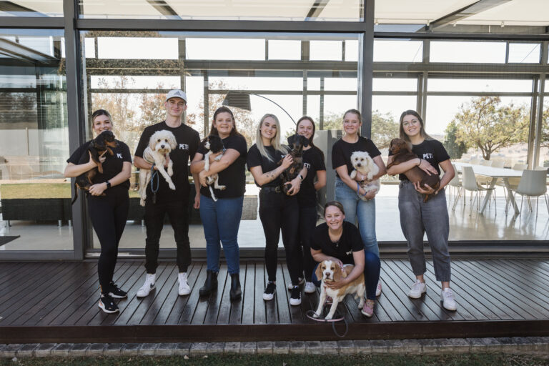 Read more about the article Pet Care Pretoria: Your Trusted Partner for Tail-Wagging Happiness