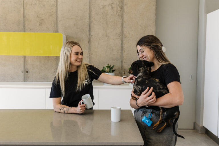Read more about the article Why Pet Care Pretoria is the best choice for your family